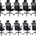 Ergonomic Task Chair with Adjustable Lumbar Black Pack of Ten