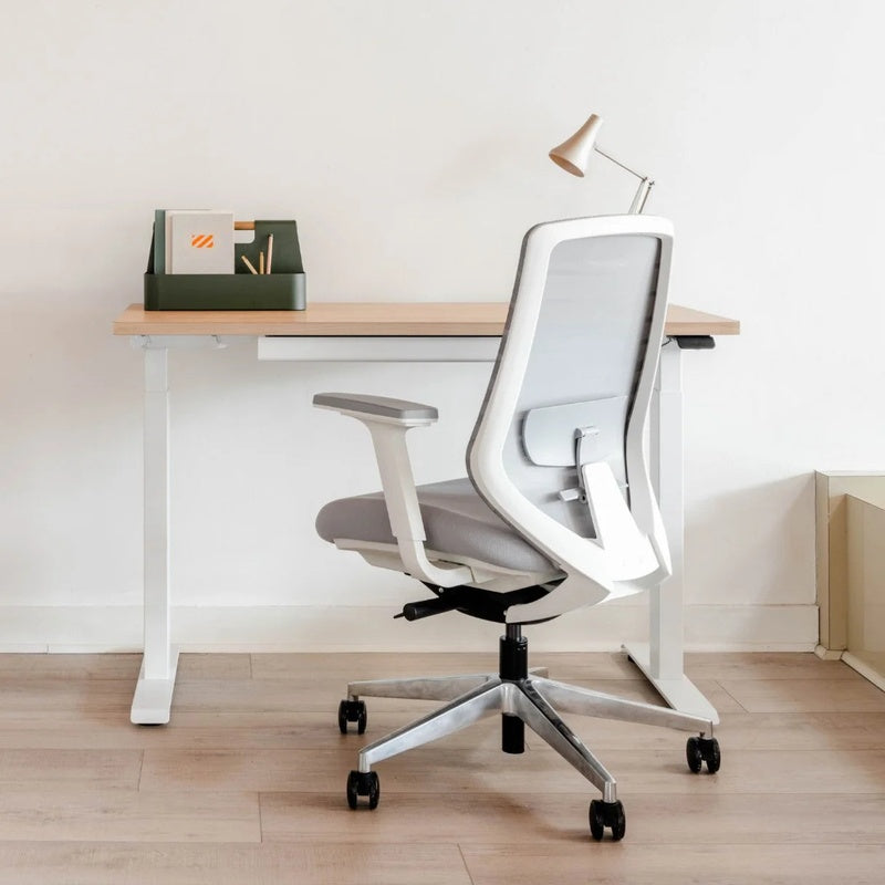Executive Bundle