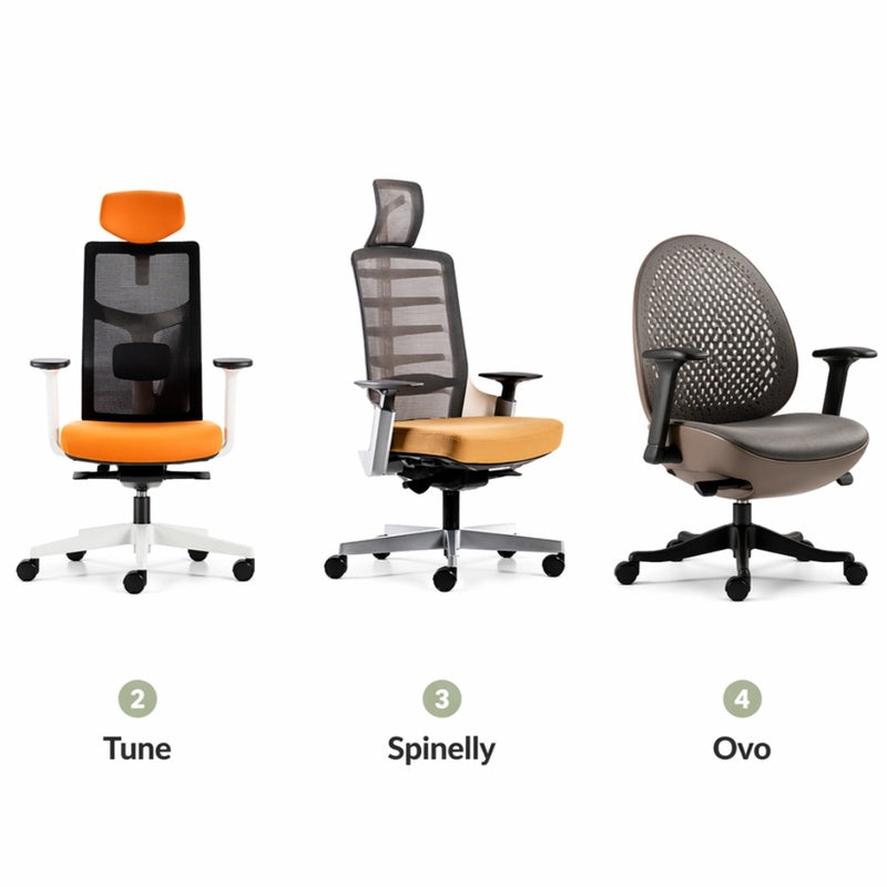 Premium Ergonomic Chair for Long Days Grey Pack of Five