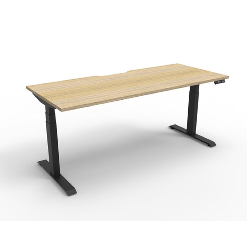 Pro Dual Motor Sit Stand Desk 1200 by 700 Oak Top