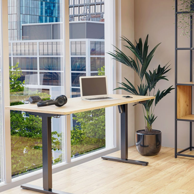 Pro Dual Motor Sit Stand Desk 1800 by 800 Oak Top